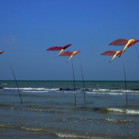 Foto Nicoloro G.  24/04/2015  Cervia ( Ravenna )   Si è aperto il 35° Festival Internazionale dell' Aquilone, uno fra i più famosi raduni al mondo di aquilonisti. Dal 24 aprile al 3 maggio animerà la spiaggia di Pinarella di Cervia con la partecipazione di 30 nazioni e lo Sri Lanka come ospite d' onore. nella foto installazione in riva al mare.