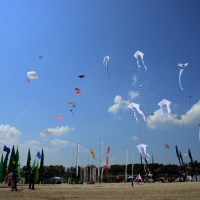 Foto Nicoloro G.  24/04/2015  Cervia ( Ravenna )   Si è aperto il 35° Festival Internazionale dell' Aquilone, uno fra i più famosi raduni al mondo di aquilonisti. Dal 24 aprile al 3 maggio animerà la spiaggia di Pinarella di Cervia con la partecipazione di 30 nazioni e lo Sri Lanka come ospite d' onore. nella foto alcuni aquiloni in volo.