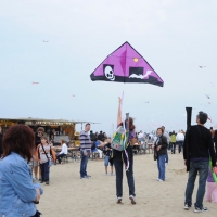 Foto Nicoloro G. 23/04/2011 Cervia (RA) E' cominciata la trentunesima edizione del " Festival internazionale dell' aquilone " organizzata da Artevento e che ospita maestri aquilonisti provenienti da trenta paesi del mondo. Dal 22 aprile al 01 maggio la spiaggia di Pinarella di Cervia e' " capitale dell' aquilone " con una altissima presenza di curiosi e appassionati. nella foto Si cerca di far volare un aquilone