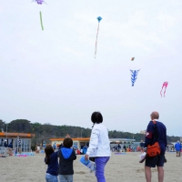 Foto Nicoloro G. 23/04/2011 Cervia (RA) E' cominciata la trentunesima edizione del " Festival internazionale dell' aquilone " organizzata da Artevento e che ospita maestri aquilonisti provenienti da trenta paesi del mondo. Dal 22 aprile al 01 maggio la spiaggia di Pinarella di Cervia e' " capitale dell' aquilone " con una altissima presenza di curiosi e appassionati. Adulti e bambini tutti alle prese con gli aquiloni