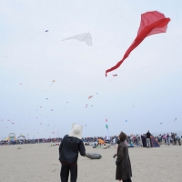Foto Nicoloro G. 23/04/2011 Cervia (RA) E' cominciata la trentunesima edizione del " Festival internazionale dell' aquilone " organizzata da Artevento e che ospita maestri aquilonisti provenienti da trenta paesi del mondo. Dal 22 aprile al 01 maggio la spiaggia di Pinarella di Cervia e' " capitale dell' aquilone " con una altissima presenza di curiosi e appassionati. Si cerca di far volare un aquilone