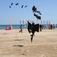 Foto Nicoloro G. 21/04/2012 Cervia (Ravenna) Trentaduesima edizione del " Festival Internazionale dell' aquilone ", organizzato dall' associazione Artevento, che raduna, per l' occasione, i piu' famosi maestri aquilonisti ma anche semplici appassionati provenienti dai cinque continenti. nella foto Aquiloni