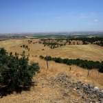 Foto Nicoloro G.   06/07/2019   Sanliurfa ( Sud-Est Turchia )  Gli scavi di Gobekli Tepe, collina tondeggiante in turco, sono il luogo di culto piu' antico mai ritrovato dall' uomo. Il tempio risale a 12.000 anni fa, ancora prima della creazione della ruota. Patrimonio dell' Unesco e' stato inaugurato il 10/03/2019 e aperto al pubblico. Contiene obelischi alti tra 3 e 6 metri con un peso tra le 40 e le 60 tonnellate, con incisioni raffiguranti animali e simboli astratti. Sono posti tra mura dallo sviluppo ovale o circolare. nella foto l' arido paesaggio collinare sede degli scavi.