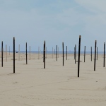 Foto Nicoloro G.   19-05-2020   Marina di Ravenna   Con l\' imminente riapertura degli stabilimenti balneari i gestori dei bagni si apprestano a metterli in sicurezza e a norma. nella foto filari di paletti portaombrelloni allineati e distanziati.