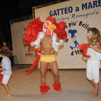 Foto Nicoloro G. 19/08/2010 Gatteo Mare (FC) Finale della sedicesima edizione di "Il babbo più bello d' Italia" tra sedici concorrenti che si contendono la palma di babbo più bello sfidandosi in simpatia, prestanza e prove di canto, preparazione di pasta fatta a mano o cambio del pannolino ad un bambolotto. nella foto Un concorrente durante una prova