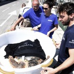 Foto Nicoloro G.   26/05/2022   Marina di Ravenna (RA)   Attivo dal 2016 il Cestha ( Centro sperimentale per la tutela degli habitat ) e\' un ente di ricerca che ha come missione il recupero della fauna ittica e la protezione ambientale. In particolare si occupa della cura delle tartarughe spiaggiate o finite nelle reti dei pescatori o peggio ferite dalle eliche dei motori delle barche. nella foto una tartaruga guarita viene trasferita su una barca per essere liberata in alto mare.