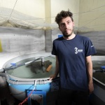 Foto Nicoloro G.   26/05/2022   Marina di Ravenna (RA)   Attivo dal 2016 il Cestha ( Centro sperimentale per la tutela degli habitat ) e' un ente di ricerca che ha come missione il recupero della fauna ittica e la protezione ambientale. In particolare si occupa della cura delle tartarughe spiaggiate o finite nelle reti dei pescatori o peggio ferite dalle eliche dei motori delle barche. nella foto Simone D' Acunto direttore del centro.