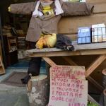 Foto Nicoloro G.   18/10/2020   Portico di Romagna ( Forli\'-Cesena )   In questo borgo e\' attiva dal 2017 la \' Biblioteca dei libri liberi \', una forma di booksharing con lo scopo di promuovere la diffusione della cultura dei libro e della sua lettura. Un ex negozio di fabbro, affittato dalla famiglia Raggi, accoglie libri abbandonati o donati dai cittadini e dai turisti. Migliaia di libri, in italiano e altre lingue, che chiunque puo\' prendere in prestito o per sempre, gratis e senza alcun controllo. nella foto l\' ingresso alla biblioteca.