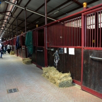 Foto Nicoloro G.  09/04/2015   Coriano ( Rimini )  La Comunità di San Patrignano, fondata nel 1978, è una Organizzazione Non Governativa autogestita che accoglie e assiste attualmente circa 1300 tra ragazzi e ragazze. nella foto l' interno della scuderia con i box per i cavalli.