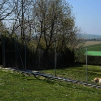 Foto Nicoloro G.  09/04/2015   Coriano ( Rimini )  La Comunità di San Patrignano, fondata nel 1978, è una Organizzazione Non Governativa autogestita che accoglie e assiste attualmente circa 1300 tra ragazzi e ragazze. nella foto ampi spazi a disposizione degli ospiti del canile.