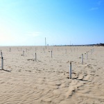 Foto Nicoloro G.   23-05-2020   Milano Marittima (Ravenna)   La regione Emilia-Romagna ha anticipato di due giorni l\' apertura della stagione balneare. Tuttavia pochissimi sono gli stabilimenti pronti a cominciare, mentre la maggior parte e\' ancora indietro con i preparativi, come dimostrano chilometri di litorale vuoti in corrispondenza degli stabilimenti balneari. nella foto lunghi tratti di litorale ancora vuoti e non attrezzati.
