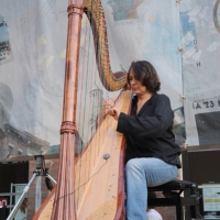 Foto Nicoloro G.   05/06/2010  Cremona  Primo Festival TRA Letteratura e Musica " Le corde dell ' anima " . nella foto Cecilia Chailly