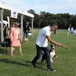 Foto Nicoloro G.   16/09/2023   Lido delle Nazioni  (Fe)   Manifestazione canina Bullyganza. E' uno showdog, che da molti anni viene organizzato con successo negli Stati Uniti, e che per due giorni ha animato una location di Lido delle Nazioni (Fe). Allevatori e proprietari, provenienti da diversi paesi europei, si sottopongono al qualificato e attento esame di giudici americani con il preciso intento di dare visibilita' e salvaguardare talune razze di cani di particolare pregio ed interesse. Accurati test sulle qualita' e condizioni fisiche, sulle attitudini nel passo e nella corsa e nel portamento determinano, alla fine, una graduatoria che premia i migliori esemplari per razza e categoria. nella foto un giudice segue un test sul passo e il portamento del cane.