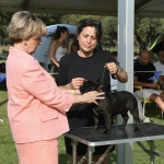 Foto Nicoloro G.   16/09/2023   Lido delle Nazioni  (Fe)   Manifestazione canina Bullyganza. E' uno showdog, che da molti anni viene organizzato con successo negli Stati Uniti, e che per due giorni ha animato una location di Lido delle Nazioni (Fe). Allevatori e proprietari, provenienti da diversi paesi europei, si sottopongono al qualificato e attento esame di giudici americani con il preciso intento di dare visibilita' e salvaguardare talune razze di cani di particolare pregio ed interesse. Accurati test sulle qualita' e condizioni fisiche, sulle attitudini nel passo e nella corsa e nel portamento determinano, alla fine, una graduatoria che premia i migliori esemplari per razza e categoria. nella foto un giudice analizza le qualita' fisiche del cane.