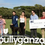 Foto Nicoloro G.   16/09/2023   Lido delle Nazioni  (Fe)   Manifestazione canina Bullyganza. E\' uno showdog, che da molti anni viene organizzato con successo negli Stati Uniti, e che per due giorni ha animato una location di Lido delle Nazioni (Fe). Allevatori e proprietari, provenienti da diversi paesi europei, si sottopongono al qualificato e attento esame di giudici americani con il preciso intento di dare visibilita\' e salvaguardare talune razze di cani di particolare pregio ed interesse. Accurati test sulle qualita\' e condizioni fisiche, sulle attitudini nel passo e nella corsa e nel portamento determinano, alla fine, una graduatoria che premia i migliori esemplari per razza e categoria. nella foto il primo in assoluto e\' uno Srafford shire bull terrier.