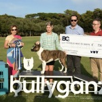 Foto Nicoloro G.    16/09/2023   Lido delle Nazioni  (Fe)   Manifestazione canina Bullyganza. E\' uno showdog, che da molti anni viene organizzato con successo negli Stati Uniti, e che per due giorni ha animato una location di Lido delle Nazioni (Fe). Allevatori e proprietari, provenienti da diversi paesi europei, si sottopongono al qualificato e attento esame di giudici americani con il preciso intento di dare visibilita\' e salvaguardare talune razze di cani di particolare pregio ed interesse. Accurati test sulle qualita\' e condizioni fisiche, sulle attitudini nel passo e nella corsa e nel portamento determinano, alla fine, una graduatoria che premia i migliori esemplari per razza e categoria. nella foto il migliore tra i veterani e un Amstaff.