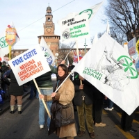 Foto Nicoloro G. 22/01/2012 Milano Manifestazione con corteo della Lega Nord contro il governo Monti. nella foto Manifestanti con cartelli lungo il corteo