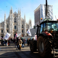 Foto Nicoloro G. 22/01/2012 Milano Manifestazione con corteo della Lega Nord contro il governo Monti. nella foto Trattori in Piazza del Duomo