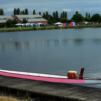 Foto Nicoloro G.  02/09/2014   Ravenna   Nona edizione dell' IDBF,  Campionati Mondiali per club di di Dragon Boat. Partecipano 27 nazioni, 5300 atleti, 129 club che gareggeranno nelle tre categorie Open maschili, femminili e misti. nella foto un Dragon Boat