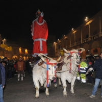 Foto Nicoloro G. 05/01/2011 Faenza (RA) Si e’ svolta nella cittadina romagnola la tradizionale ” Nott de biso’ “, dove il biso’ e’ il vin brule’, che ha il suo clou alla mezzanotte con lo spettacolare falo’ del Niballo. Il Niballo e’ il grande fantoccio raffigurante Annibale che simboleggia le avversita’ e con il suo rogo vengono bruciate tutte le avversita’ dell’ anno appena passato. Un rito quindi purificatorio e propiziatorio accompagnato da libagioni a base di salsicce, piadine e vin brule’. nella foto Il carro con il Niballo entra in piazza trainato da due buoi