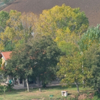 Foto Nicoloro G. 25/10/2011 Coriano ( Rimini ) La salma di Marco Simoncelli e' tornata al suo paese di nascita e portata nella casa dei genitori per essere domani esposta nel piccolo teatro perche' riceva l' estremo saluto di quanti lo conoscevano e gli volevano bene. nella foto La casa in campagna