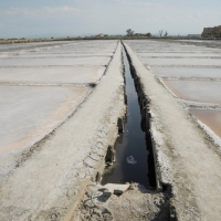 Foto Nicoloro G. 28/06/2012 Cervia ( Ravenna ) La salina Camillone, nel territorio di Cervia, e’ l’ ultima delle circa 150 saline a conduzione familiare che operavano prima del 1959, anno in cui le saline sono passate al Monopolio di Stato. Tutte le saline furono consorziate in una sola salina a produzione industriale e la salina Camillone e’ l’ unica rimasta artigianale in Italia. Qui tutto avviene ancora manualmente, nessun macchinario e’ utilizzato e il prelievo di sale e’ fatto ogni giorno nel periodo in cui resta aperta e cioe’ da Aprile a Settembre circa. E’ attiva grazie al volontariato del gruppo culturale ” Civilta’ salinara ” che gestisce anche il Museo del Sale di Cervia. Da giugno a settembre tutti i giovedi’ e le domeniche effettuano visite guidate per un pubblico che puo’ cosi’ assistere alle varie fasi del lavoro di estrazione del sale. nella foto Una veduta generale della salina