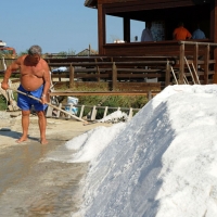 Foto Nicoloro G. 28/06/2012 Cervia ( Ravenna ) La salina Camillone, nel territorio di Cervia, e’ l’ ultima delle circa 150 saline a conduzione familiare che operavano prima del 1959, anno in cui le saline sono passate al Monopolio di Stato. Tutte le saline furono consorziate in una sola salina a produzione industriale e la salina Camillone e’ l’ unica rimasta artigianale in Italia. Qui tutto avviene ancora manualmente, nessun macchinario e’ utilizzato e il prelievo di sale e’ fatto ogni giorno nel periodo in cui resta aperta e cioe’ da Aprile a Settembre circa. E’ attiva grazie al volontariato del gruppo culturale ” Civilta’ salinara ” che gestisce anche il Museo del Sale di Cervia. Da giugno a settembre tutti i giovedi’ e le domeniche effettuano visite guidate per un pubblico che puo’ cosi’ assistere alle varie fasi del lavoro di estrazione del sale. nella foto Un momento dell'estrazione