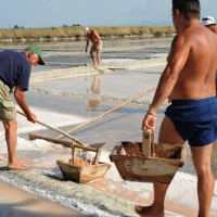 Foto Nicoloro G. 28/06/2012 Cervia ( Ravenna ) La salina Camillone, nel territorio di Cervia, e’ l’ ultima delle circa 150 saline a conduzione familiare che operavano prima del 1959, anno in cui le saline sono passate al Monopolio di Stato. Tutte le saline furono consorziate in una sola salina a produzione industriale e la salina Camillone e’ l’ unica rimasta artigianale in Italia. Qui tutto avviene ancora manualmente, nessun macchinario e’ utilizzato e il prelievo di sale e’ fatto ogni giorno nel periodo in cui resta aperta e cioe’ da Aprile a Settembre circa. E’ attiva grazie al volontariato del gruppo culturale ” Civilta’ salinara ” che gestisce anche il Museo del Sale di Cervia. Da giugno a settembre tutti i giovedi’ e le domeniche effettuano visite guidate per un pubblico che puo’ cosi’ assistere alle varie fasi del lavoro di estrazione del sale. nella foto Un momento dell'estrazione