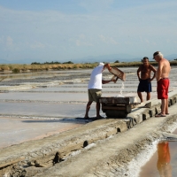 Foto Nicoloro G. 28/06/2012 Cervia ( Ravenna ) La salina Camillone, nel territorio di Cervia, e’ l’ ultima delle circa 150 saline a conduzione familiare che operavano prima del 1959, anno in cui le saline sono passate al Monopolio di Stato. Tutte le saline furono consorziate in una sola salina a produzione industriale e la salina Camillone e’ l’ unica rimasta artigianale in Italia. Qui tutto avviene ancora manualmente, nessun macchinario e’ utilizzato e il prelievo di sale e’ fatto ogni giorno nel periodo in cui resta aperta e cioe’ da Aprile a Settembre circa. E’ attiva grazie al volontariato del gruppo culturale ” Civilta’ salinara ” che gestisce anche il Museo del Sale di Cervia. Da giugno a settembre tutti i giovedi’ e le domeniche effettuano visite guidate per un pubblico che puo’ cosi’ assistere alle varie fasi del lavoro di estrazione del sale. nella foto Un momento dell'estrazione
