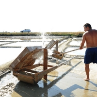 Foto Nicoloro G. 28/06/2012 Cervia ( Ravenna ) La salina Camillone, nel territorio di Cervia, e’ l’ ultima delle circa 150 saline a conduzione familiare che operavano prima del 1959, anno in cui le saline sono passate al Monopolio di Stato. Tutte le saline furono consorziate in una sola salina a produzione industriale e la salina Camillone e’ l’ unica rimasta artigianale in Italia. Qui tutto avviene ancora manualmente, nessun macchinario e’ utilizzato e il prelievo di sale e’ fatto ogni giorno nel periodo in cui resta aperta e cioe’ da Aprile a Settembre circa. E’ attiva grazie al volontariato del gruppo culturale ” Civilta’ salinara ” che gestisce anche il Museo del Sale di Cervia. Da giugno a settembre tutti i giovedi’ e le domeniche effettuano visite guidate per un pubblico che puo’ cosi’ assistere alle varie fasi del lavoro di estrazione del sale. nella foto Lavaggio degli strumenti dopo l' uso