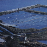 Foto Nicoloro G. 28/06/2012 Cervia ( Ravenna ) La salina Camillone, nel territorio di Cervia, e’ l’ ultima delle circa 150 saline a conduzione familiare che operavano prima del 1959, anno in cui le saline sono passate al Monopolio di Stato. Tutte le saline furono consorziate in una sola salina a produzione industriale e la salina Camillone e’ l’ unica rimasta artigianale in Italia. Qui tutto avviene ancora manualmente, nessun macchinario e’ utilizzato e il prelievo di sale e’ fatto ogni giorno nel periodo in cui resta aperta e cioe’ da Aprile a Settembre circa. E’ attiva grazie al volontariato del gruppo culturale ” Civilta’ salinara ” che gestisce anche il Museo del Sale di Cervia. Da giugno a settembre tutti i giovedi’ e le domeniche effettuano visite guidate per un pubblico che puo’ cosi’ assistere alle varie fasi del lavoro di estrazione del sale. nella foto RFoto Nicoloro G. 28/06/2012 Cervia ( Ravenna ) La salina Camillone, nel territorio di Cervia, e’ l’ ultima delle circa 150 saline a conduzione familiare che operavano prima del 1959, anno in cui le saline sono passate al Monopolio di Stato. Tutte le saline furono consorziate in una sola salina a produzione industriale e la salina Camillone e’ l’ unica rimasta artigianale in Italia. Qui tutto avviene ancora manualmente, nessun macchinario e’ utilizzato e il prelievo di sale e’ fatto ogni giorno nel periodo in cui resta aperta e cioe’ da Aprile a Settembre circa. E’ attiva grazie al volontariato del gruppo culturale ” Civilta’ salinara ” che gestisce anche il Museo del Sale di Cervia. Da giugno a settembre tutti i giovedi’ e le domeniche effettuano visite guidate per un pubblico che puo’ cosi’ assistere alle varie fasi del lavoro di estrazione del sale. nella foto Riproduzione di veduta aerea della salina